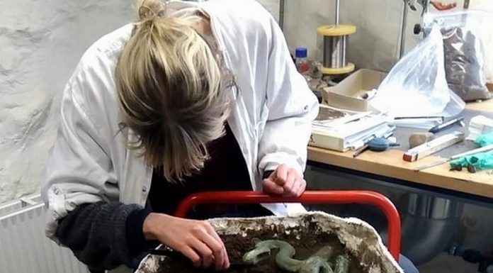 Szukał samolotu z II WŚ …trafił na skarb króla z epoki brązu!