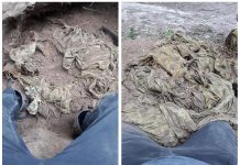 Przy pomocy wykrywacza znalazł pamiątkę z operacji Market Garden – spadochron U.S. Airborne (GALERIA)