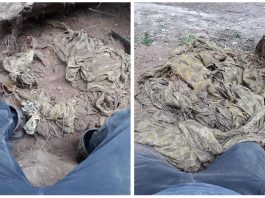 Przy pomocy wykrywacza znalazł pamiątkę z operacji Market Garden – spadochron U.S. Airborne (GALERIA)