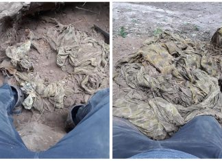 Przy pomocy wykrywacza znalazł pamiątkę z operacji Market Garden – spadochron U.S. Airborne (GALERIA)