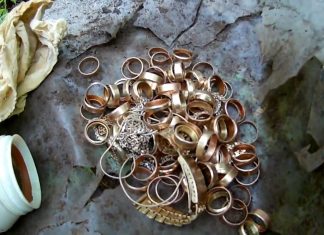 Znalazł w lesie przy pomocy wykrywacza ponad pół kilo złota!