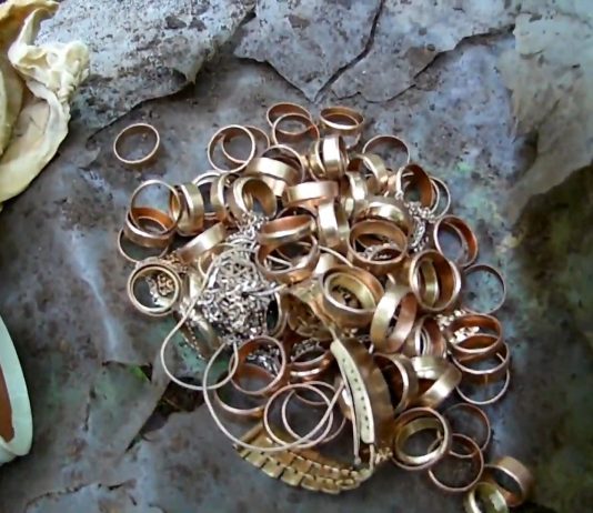 Znalazł w lesie przy pomocy wykrywacza ponad pół kilo złota!