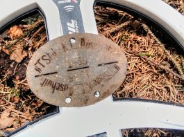 Nieśmiertelnik niemieckiego strażnika z obozu Auschwitz znaleziony w środku lasu…