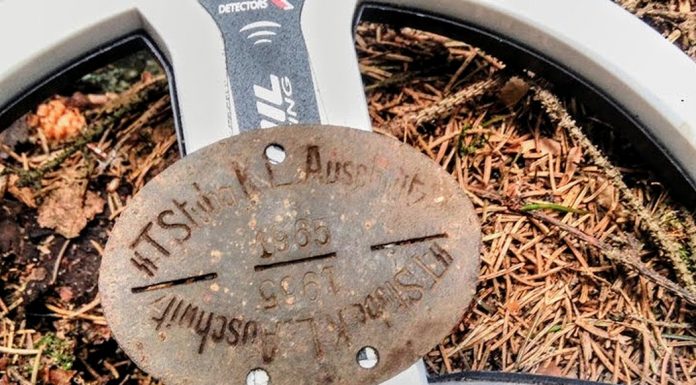 Nieśmiertelnik niemieckiego strażnika z obozu Auschwitz znaleziony w środku lasu…