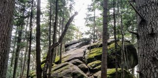 „Diabli Kamień” na podkarpackim Foluszu i legenda z nim związana (GALERIA)