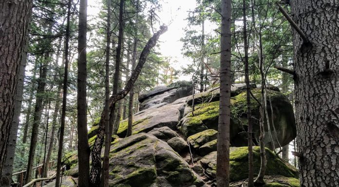 „Diabli Kamień” na podkarpackim Foluszu i legenda z nim związana (GALERIA)