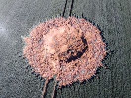 Bomba z czasów II Wojny Światowej eksplodowała samoczynnie w środku pola