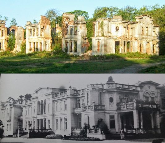 Ruiny pałacu Karskich we Włostowie – spotkanie z właścicielem! (GALERIA)