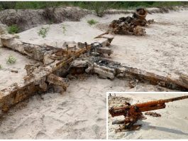 Na plaży w Kuźnicy znaleźli legendarne niemieckie działo 88 mm i rosyjską „muchobijkę”