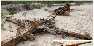 Na plaży w Kuźnicy znaleźli legendarne niemieckie działo 88 mm i rosyjską „muchobijkę”