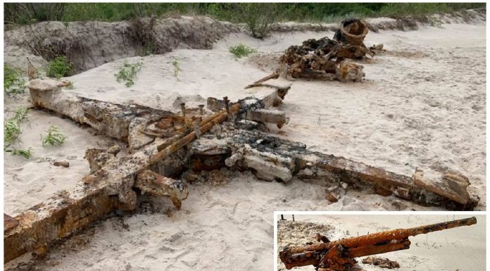 Na plaży w Kuźnicy znaleźli legendarne niemieckie działo 88 mm i rosyjską „muchobijkę”