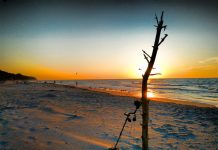 Na plażach z wykrywaczem metali poszukacie legalnie i bez pozwolenia!