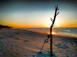 Na plażach z wykrywaczem metali poszukacie legalnie i bez pozwolenia!