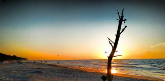 Na plażach z wykrywaczem metali poszukacie legalnie i bez pozwolenia!