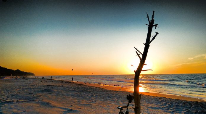 Na plażach z wykrywaczem metali poszukacie legalnie i bez pozwolenia!