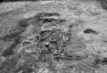 Dziś 11 lipca, 77 rocznica „Krwawej niedzieli na Wołyniu”