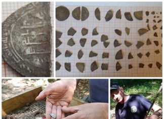 Skarb srebrnych monet sprzed ok. 1000 lat odkryty na terenie Gminy Kamień Pomorski (WYWIAD + GALERIA)