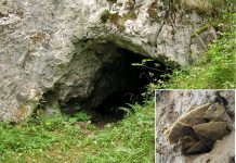 Groty do strzał sprzed 15 tys. lat znaleziono w Tatrzańskiej Jaskini nad Huczawą!