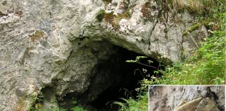 Groty do strzał sprzed 15 tys. lat znaleziono w Tatrzańskiej Jaskini nad Huczawą!