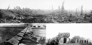 Dokładnie 106 lat temu wybuchła I wojna światowa – pochłonęła 14 mln istnień