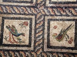 Niezwykła mozaika z początku naszej ery została odkryta w Aleksandrii przez Polaków