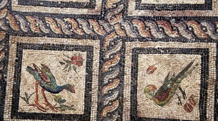 Niezwykła mozaika z początku naszej ery została odkryta w Aleksandrii przez Polaków