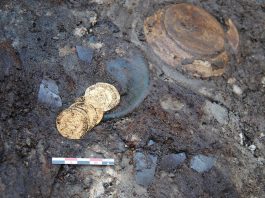 Sześć złotych monet z XVI wieku znaleziono w śmietniku na terenie Frankfurtu