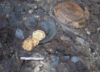 Sześć złotych monet z XVI wieku znaleziono w śmietniku na terenie Frankfurtu