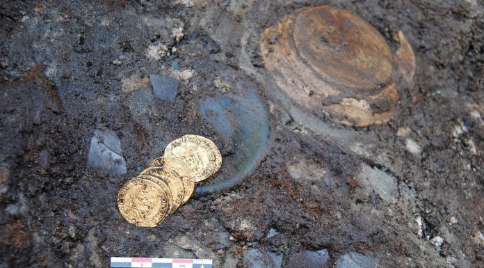 Sześć złotych monet z XVI wieku znaleziono w śmietniku na terenie Frankfurtu