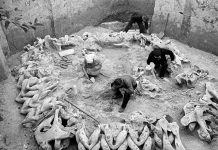 Relikty szałasu z mamucich kości datowane na 15000 B.C. odkryte we wsi Meżyricz na Ukrainie + BONUS