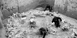 Relikty szałasu z mamucich kości datowane na 15000 B.C. odkryte we wsi Meżyricz na Ukrainie + BONUS