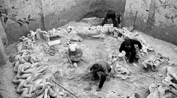 Relikty szałasu z mamucich kości datowane na 15000 B.C. odkryte we wsi Meżyricz na Ukrainie + BONUS