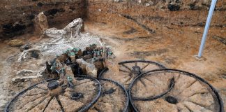 Datowany na II wiek n.e. tracki rydwan wraz z szkieletami koni