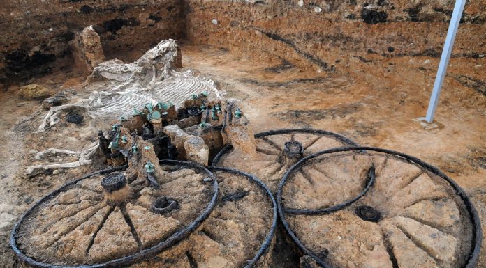 Datowany na II wiek n.e. tracki rydwan wraz z szkieletami koni