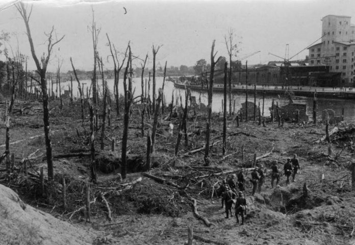 Bundesarchiv_Bild_183-2008-0513-500,_Danzig,_Westerplatte,_Wald