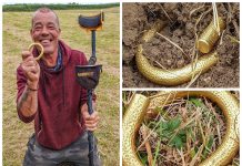 Niezwykły złoty skarb sprzed ponad 3 tys. lat znaleziony przez amatora!