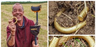 Niezwykły złoty skarb sprzed ponad 3 tys. lat znaleziony przez amatora!