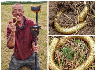 Niezwykły złoty skarb sprzed ponad 3 tys. lat znaleziony przez amatora!