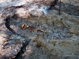 Na Westerplatte odnaleziono szczątki jego bohaterskich obrońców!