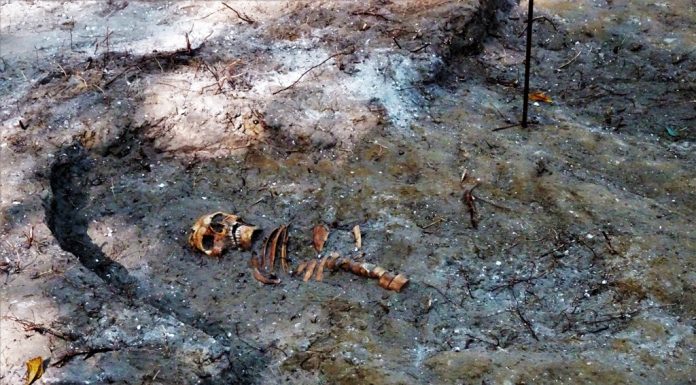 Na Westerplatte odnaleziono szczątki jego bohaterskich obrońców!