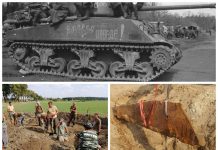 Elementy czołgu Sherman odkryli pasjonaci w polu pod Biskupcem (GALERIA)