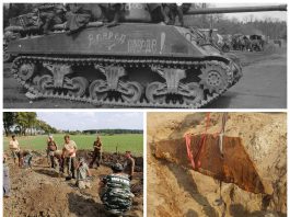 Elementy czołgu Sherman odkryli pasjonaci w polu pod Biskupcem (GALERIA)