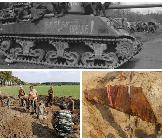 Elementy czołgu Sherman odkryli pasjonaci w polu pod Biskupcem (GALERIA)