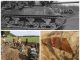 Elementy czołgu Sherman odkryli pasjonaci w polu pod Biskupcem (GALERIA)