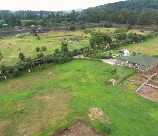 Na terenie ruin rzymskiego fortu archeolodzy znaleźli mozaiki sprzed 2 tys. lat