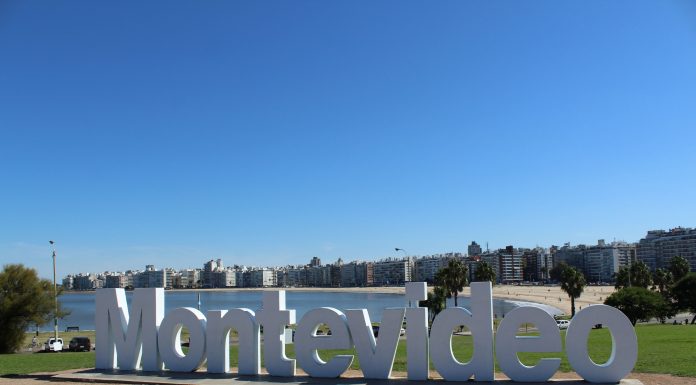 Ruszył śladami Polskich emigrantów w Urugwaju… Znacie drużynę Cracovia de Uruguay?