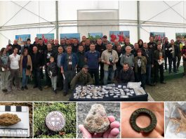 Co udało się znaleźć pod Grunwaldem? – Podsumowanie VI edycji badań archeologicznych pola bitwy (GALERIA)