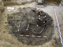 Trzeci pochówek polskiego żołnierza odkryty na Westerplatte! (GALERIA)