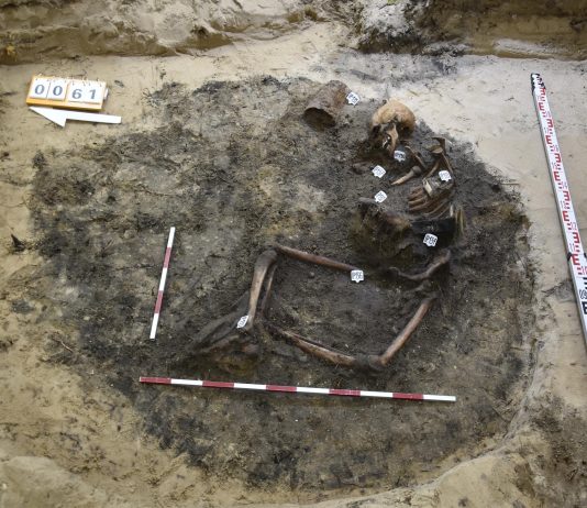 Trzeci pochówek polskiego żołnierza odkryty na Westerplatte! (GALERIA)