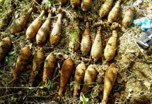 Śląsk. Poszedł na grzyby… znalazł 25 granatów moździerzowych!